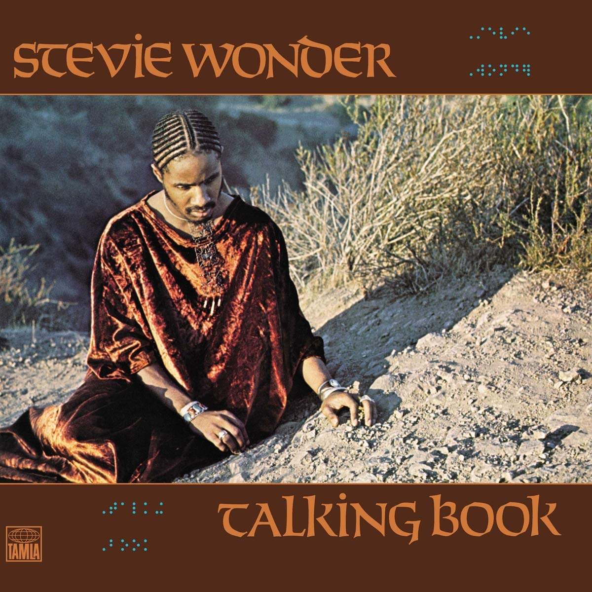Stevie Wonder Talking book