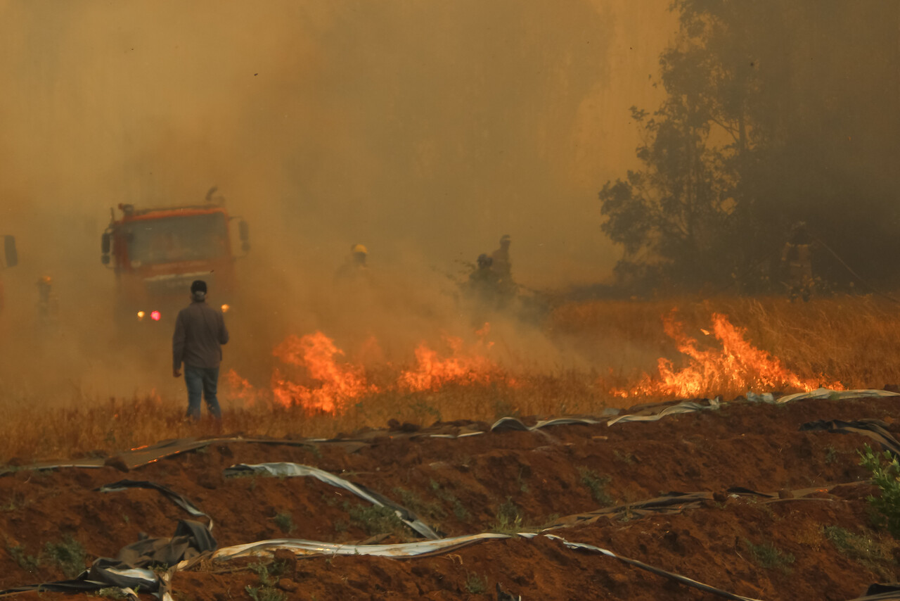 Incendios Forestales