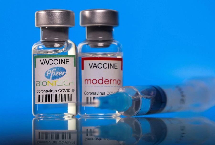vacunas Pfizer o Moderna