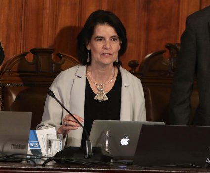 Verónica Undurraga, presidenta de la Comisión Experta