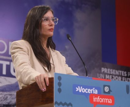 Camila Vallejo, vocera de gobierno