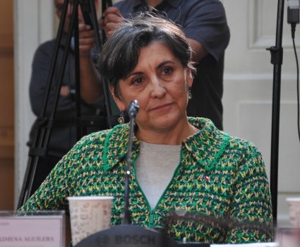 Ministerio de Salud, Ximena Aguilera