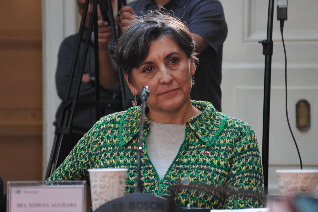 Ministerio de Salud, Ximena Aguilera