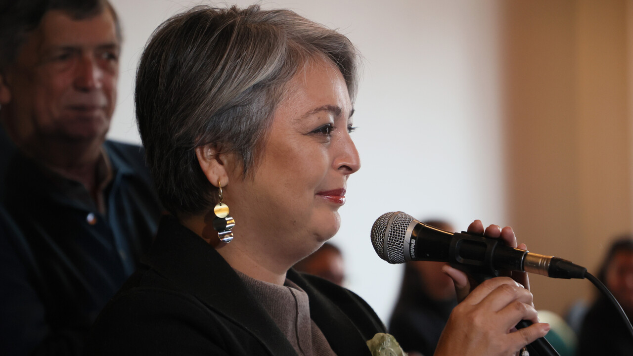 Jara es la principal preferencia, pero perdería en segunda vuelta