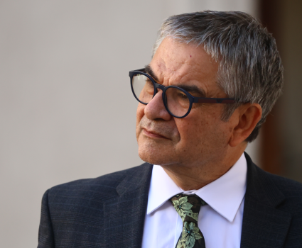 Marcel: "Precios de bienes y servicios deben ir en pesos no en UF"