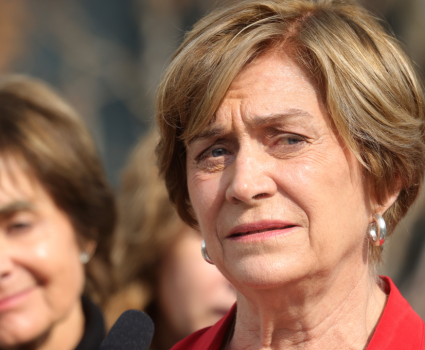 Matthei acusa a Republicanos de campaña sucia y fake news