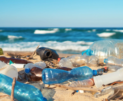 Plásticos chilenos lanzados al mar llegaron hasta Sudáfrica