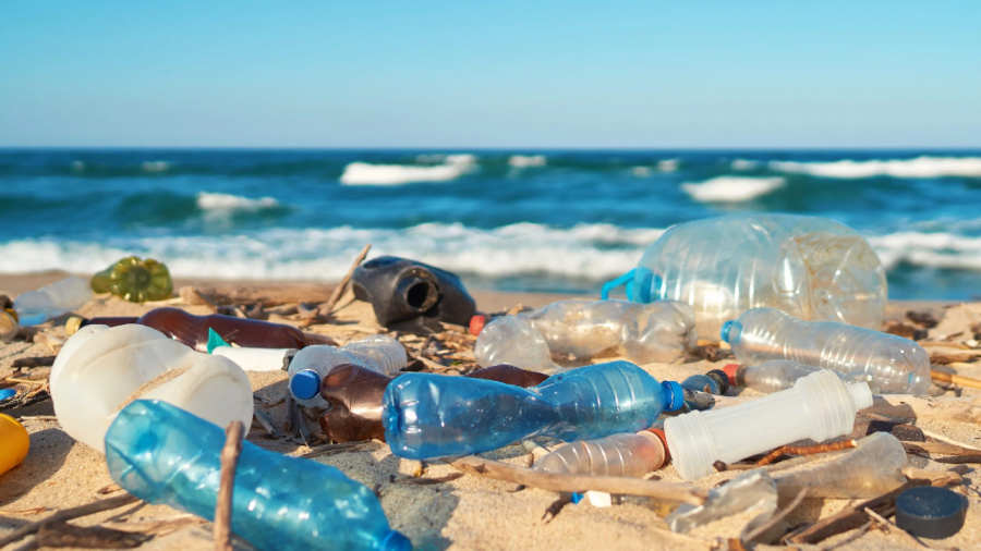 Plásticos chilenos lanzados al mar llegaron hasta Sudáfrica
