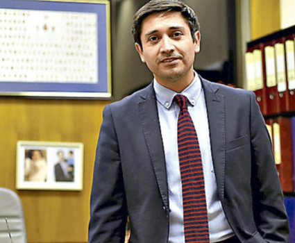 diputado