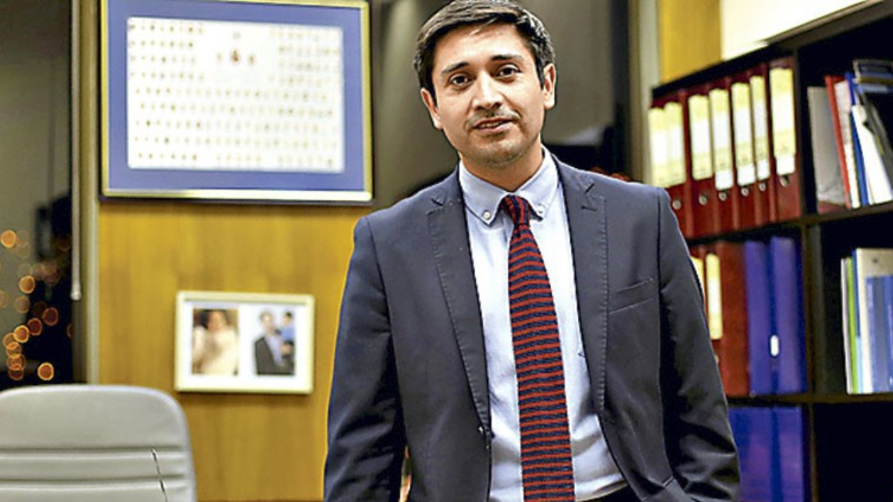 diputado