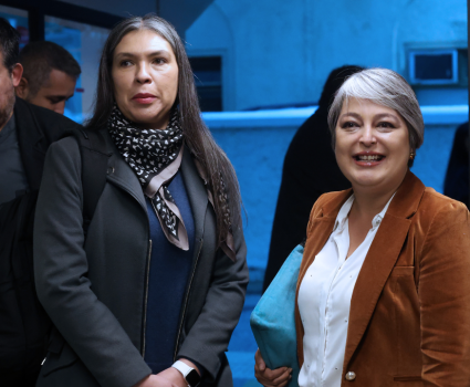 Bárbara Figueroa dice que Jara no es “continuidad” del Gobierno