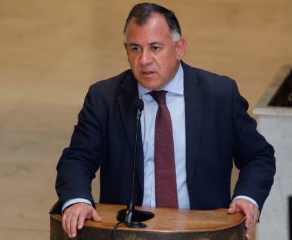 Eirc Aedo: Al parecer Matthei negoció con Kast por la querella