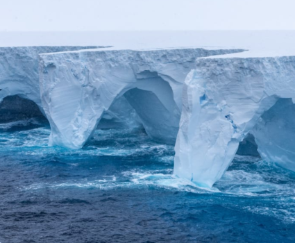 iceberg