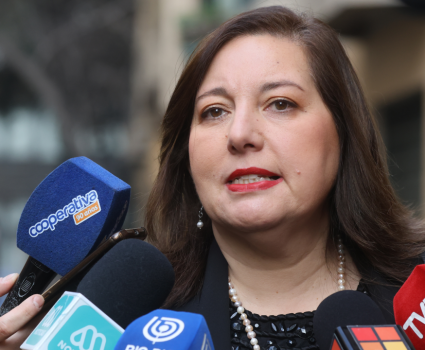 Vodanovic por dichos de Cordero en seguridad: "Esa es la verdad"