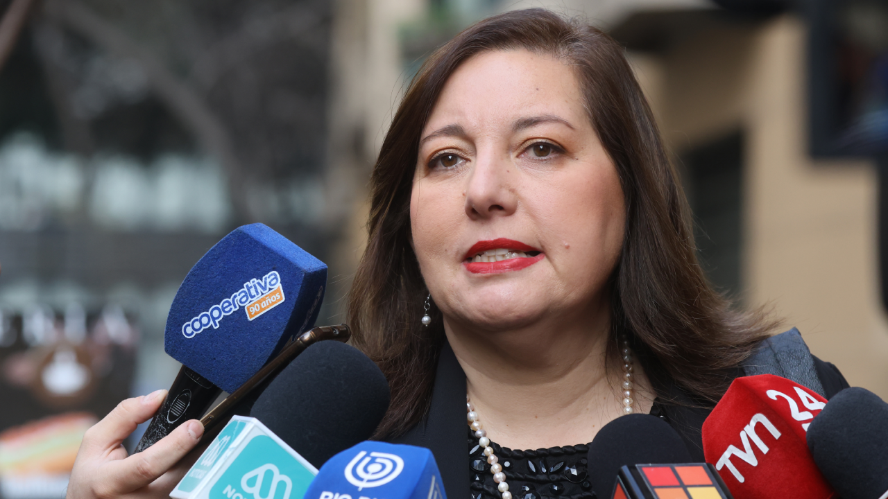 Vodanovic por dichos de Cordero en seguridad: "Esa es la verdad"